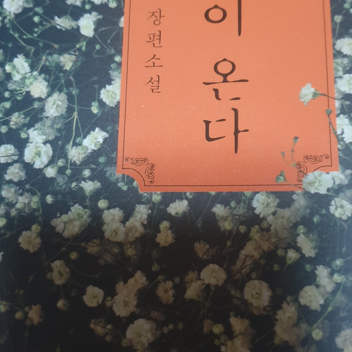 여울탄 tweet media