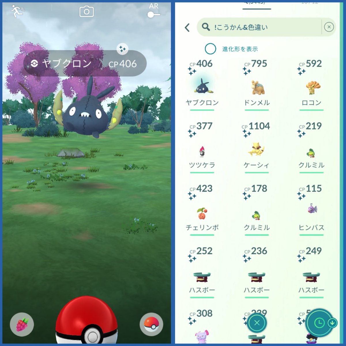 珈琲☕️@連続色違い481日 tweet media