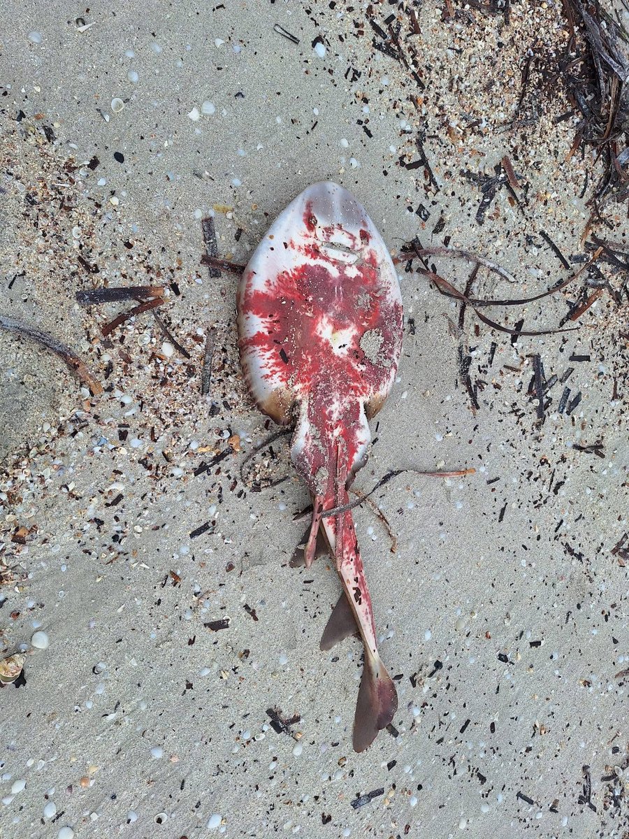 mary poppins tweet media