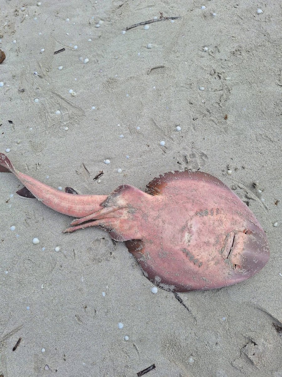 mary poppins tweet media