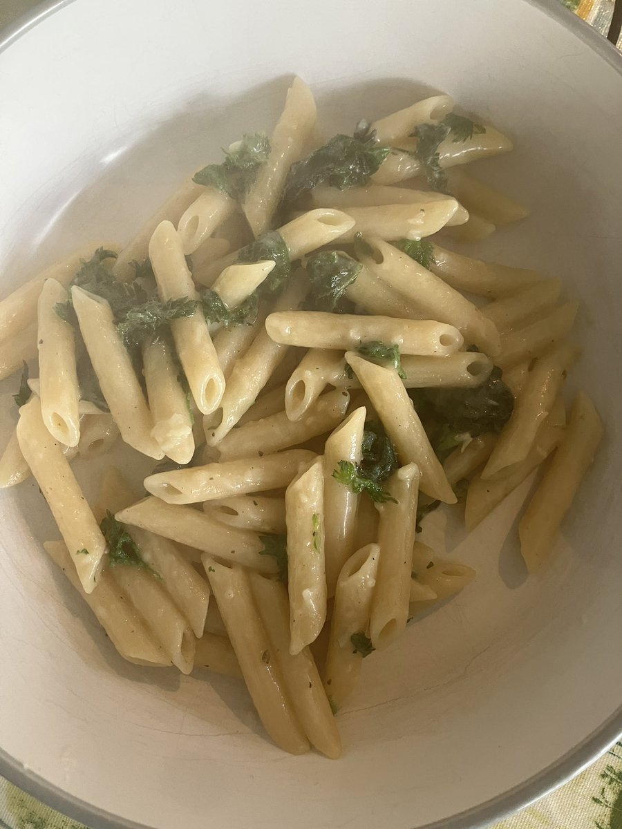 Alexander D’Albini tweet media