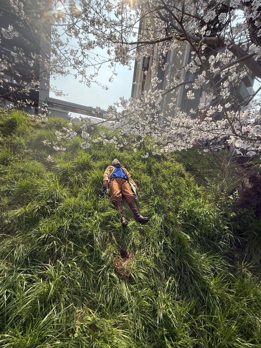 だり▶3/15ﾋﾞﾋﾞｺｽ,3/28.29ﾗﾌﾞｽﾋﾟ岡崎,4/4ﾍﾟﾃﾐｰﾄ,4/5ｶﾗｽ tweet media