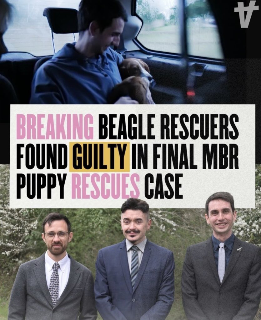 PROTECT ALL WILDLIFE tweet media