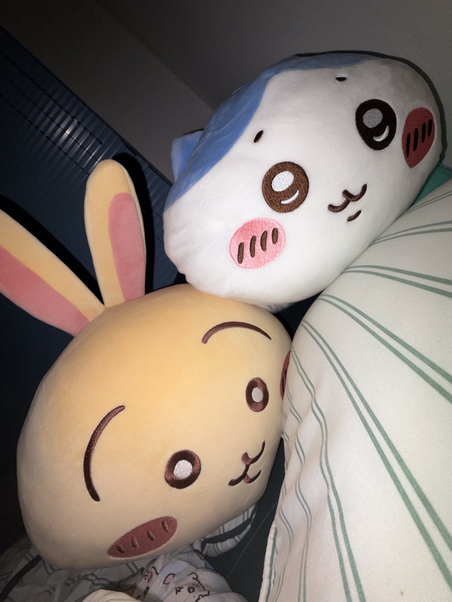 우린젊다 tweet media