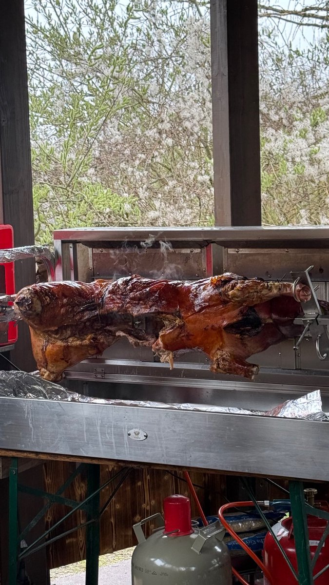 невротизированная демшиза tweet media