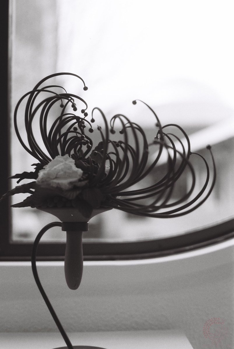 Nyagon (film photography lover) tweet media