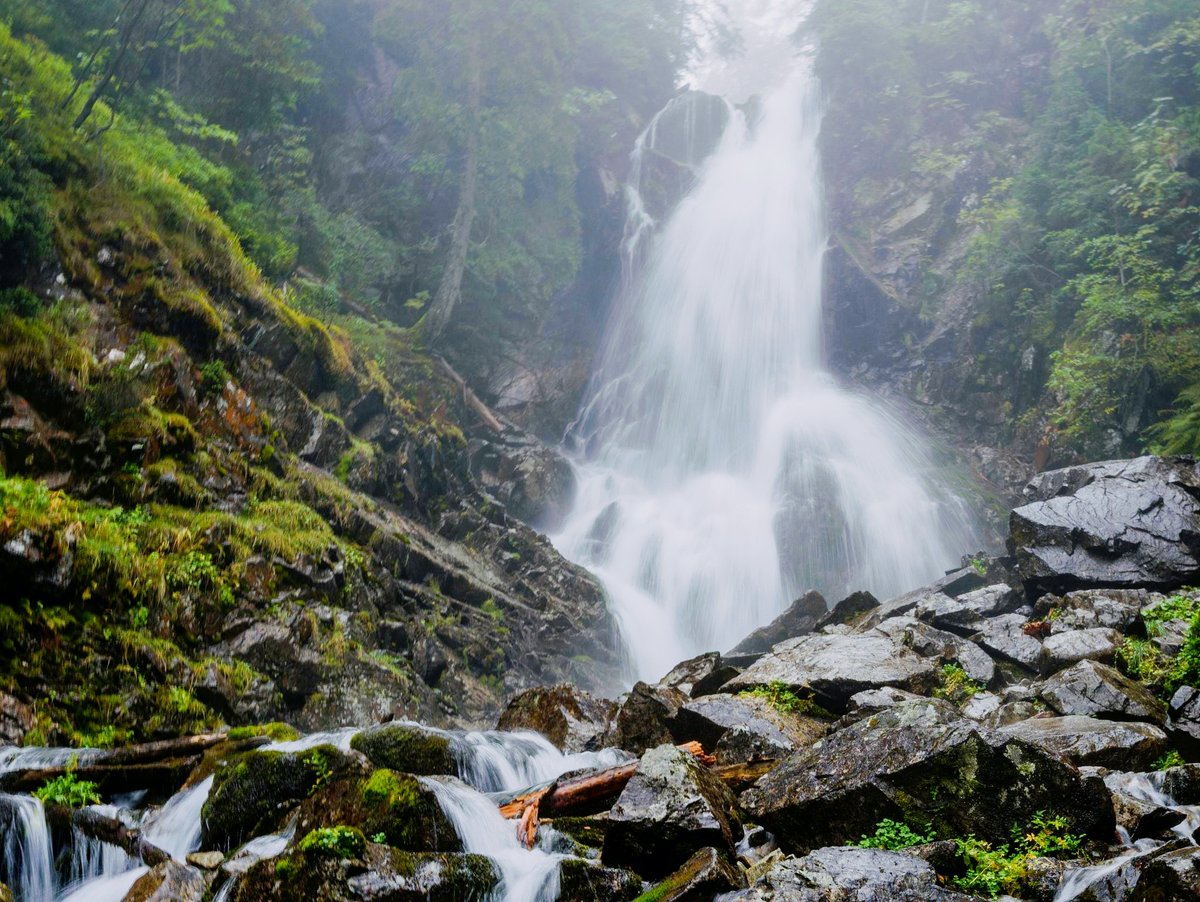 Ramesh Chand tweet media