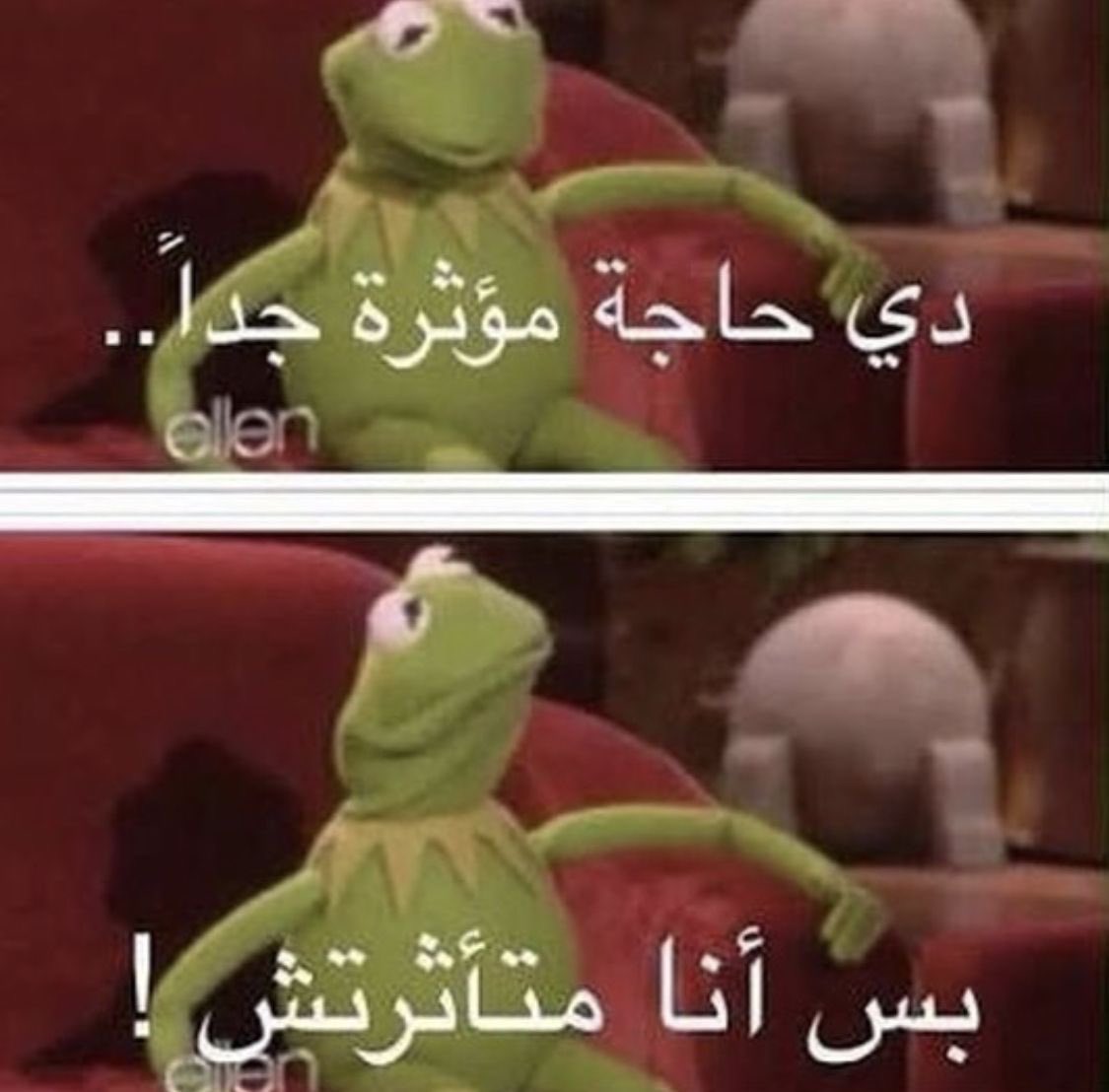 كيان🦋 tweet media