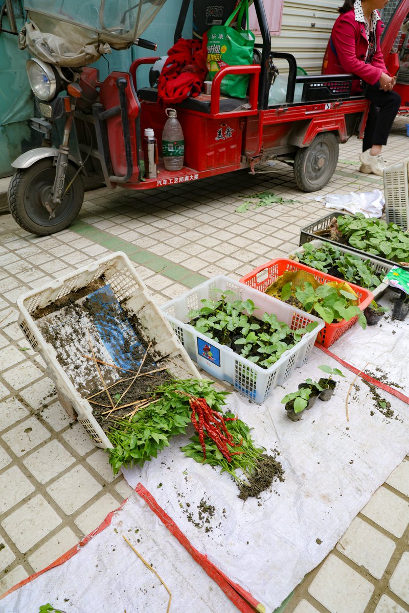 Jephthah Fameronag tweet media