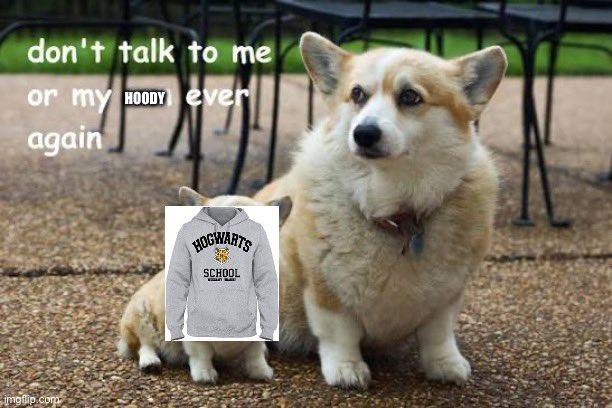 Hazel Appleyard tweet media