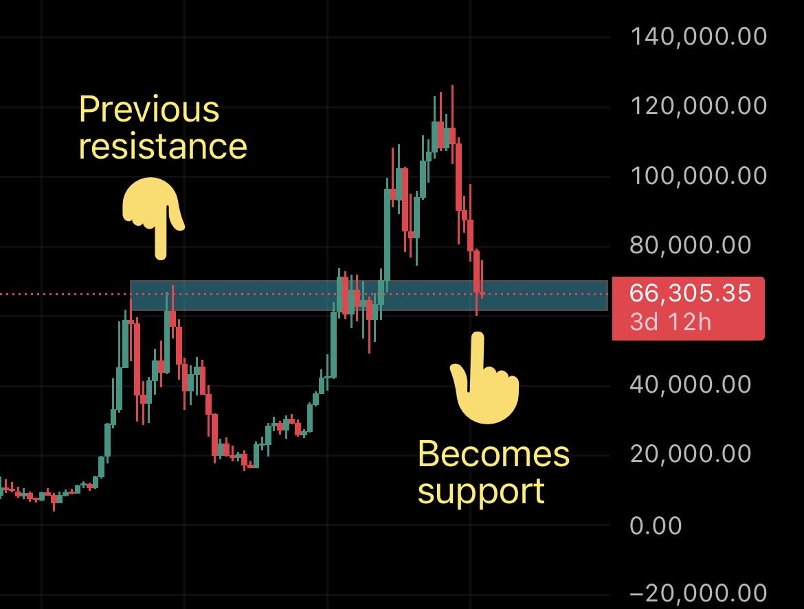 Caiden 🃏 tweet media