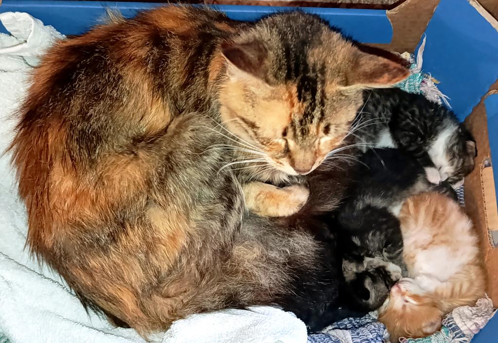 Filio S. 🐚🌊 tweet media