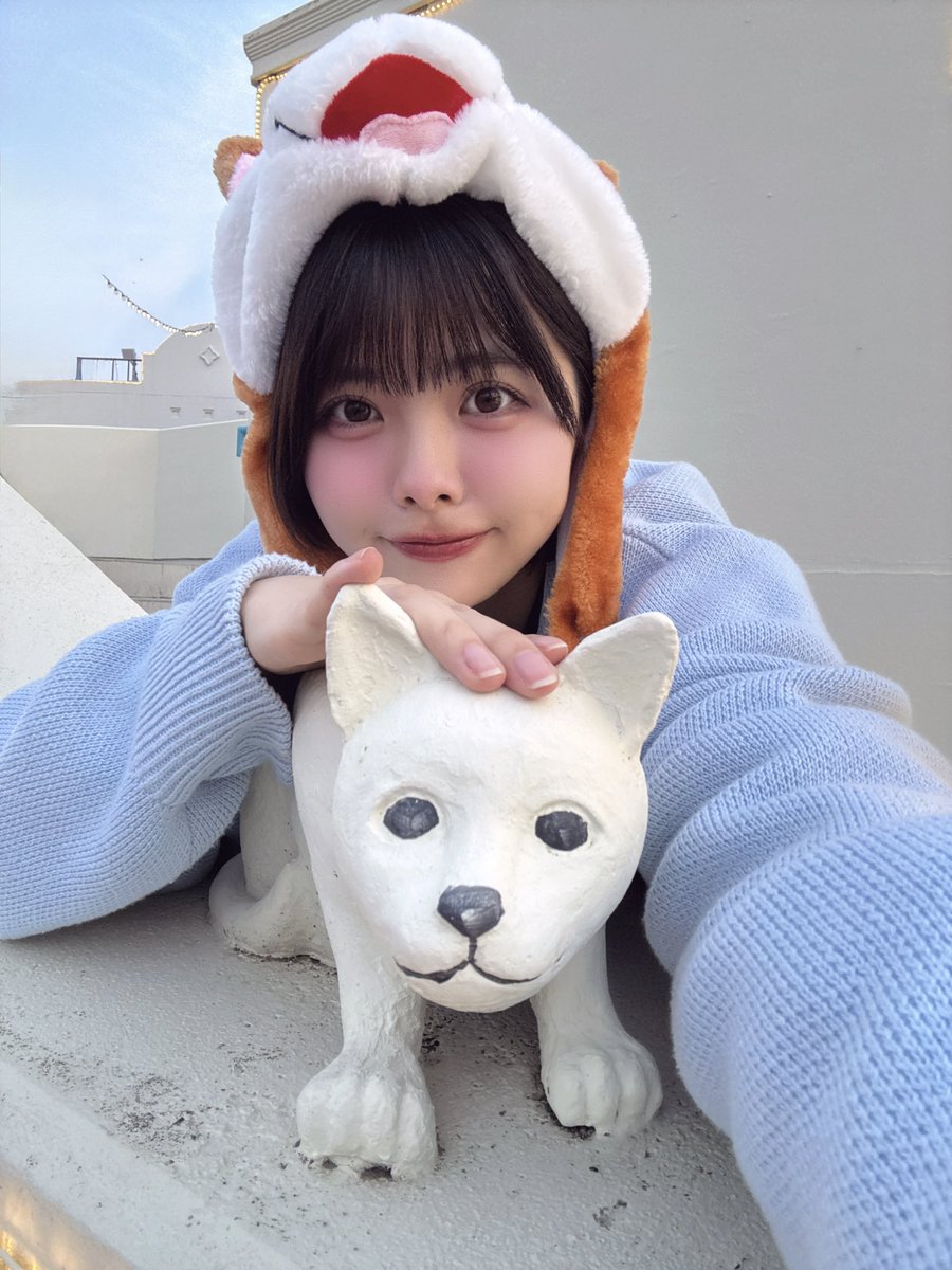 荒野 姫楓 tweet media