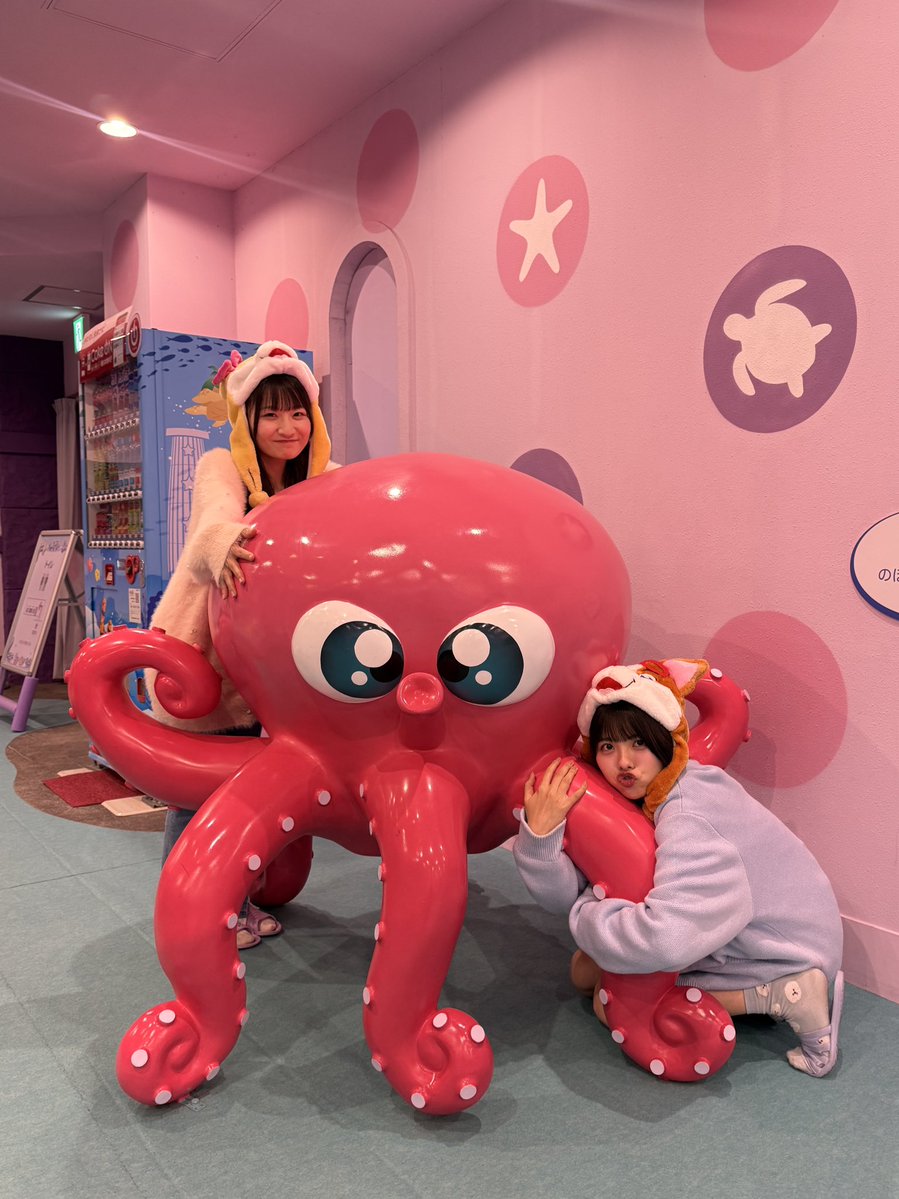 荒野 姫楓 tweet media