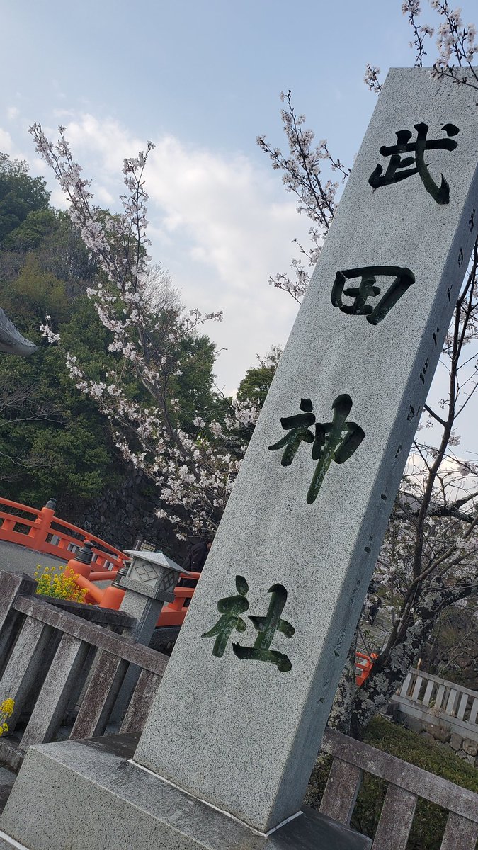 ONE MODE tweet media