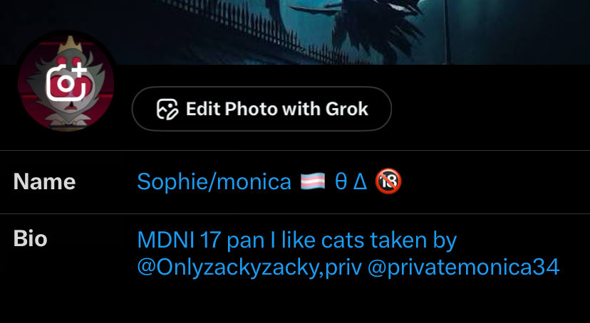 Sophie/monica 🏳️‍⚧️ θ ∆ tweet media