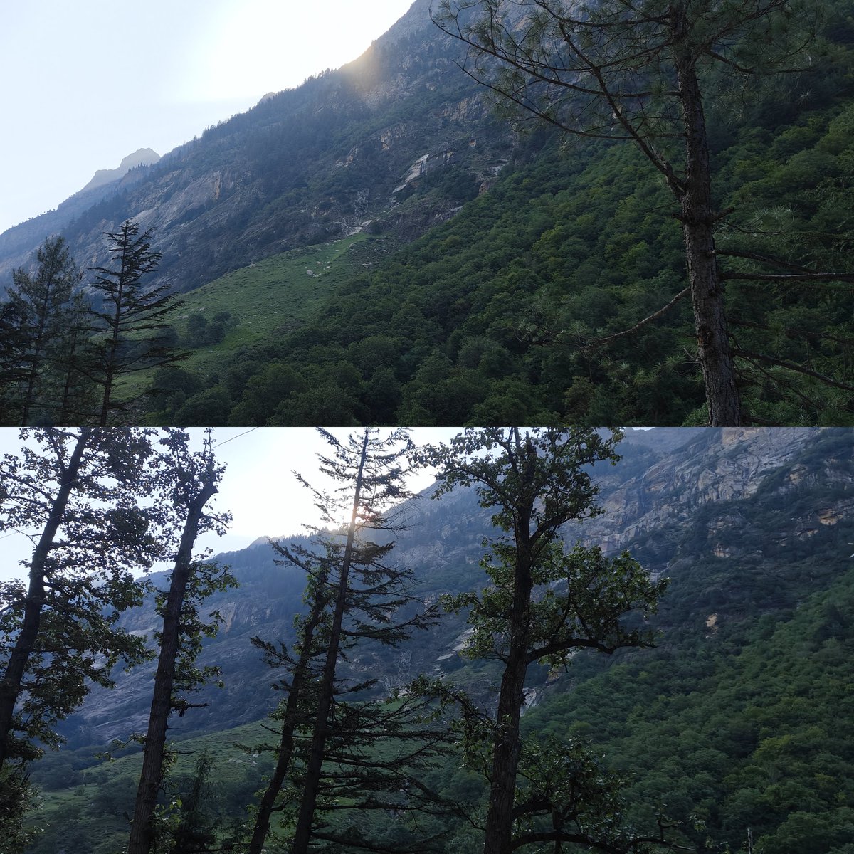 Atiriyā 𓆗𖤓 tweet media