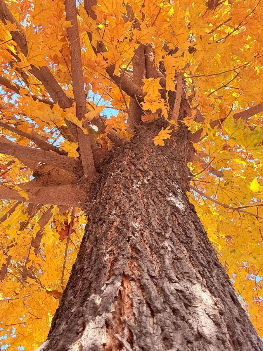 song byoungwoon tweet media