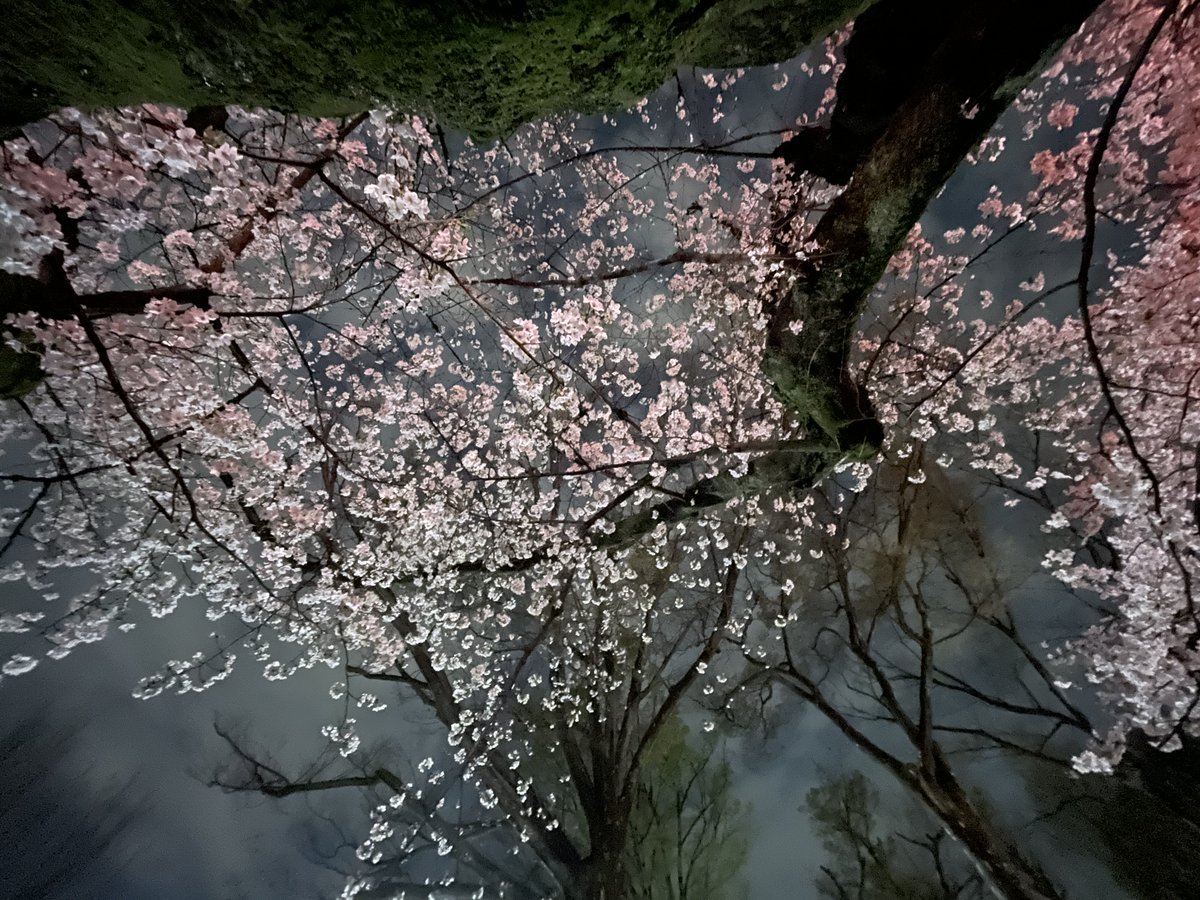 shige's coffee roasters tweet media