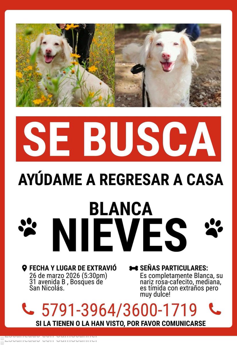guatexanimales2's tweet photo. #repost https://t.co/IQgn1N0S5d