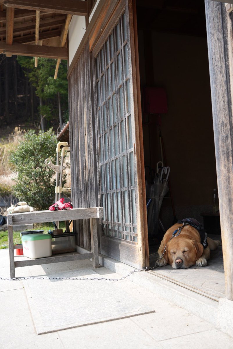 あーちゃん🐤 tweet media