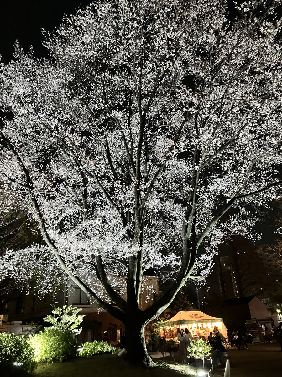 かるろ tweet media