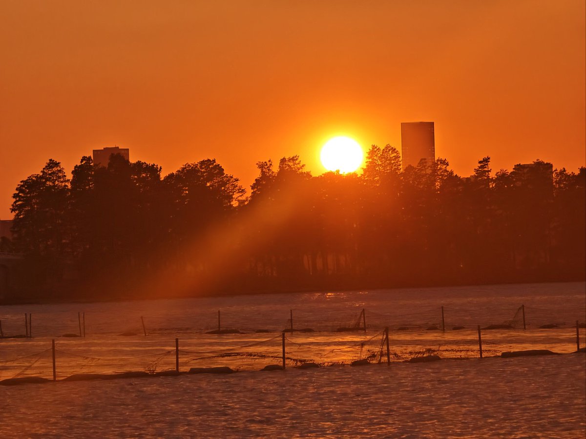 True Luna tweet media