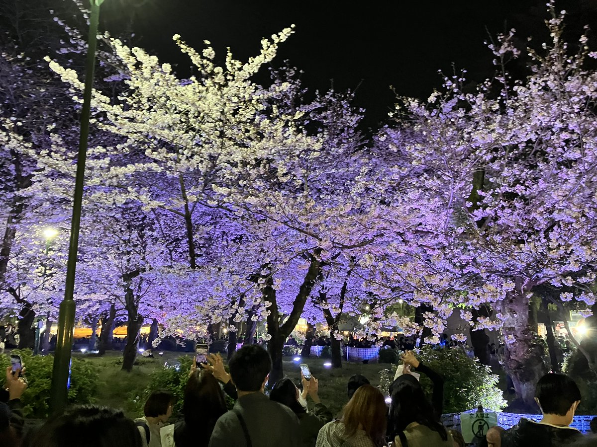 かるろ tweet media