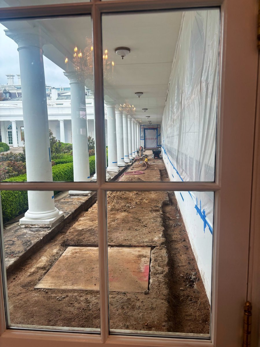 Molly Ploofkins tweet media