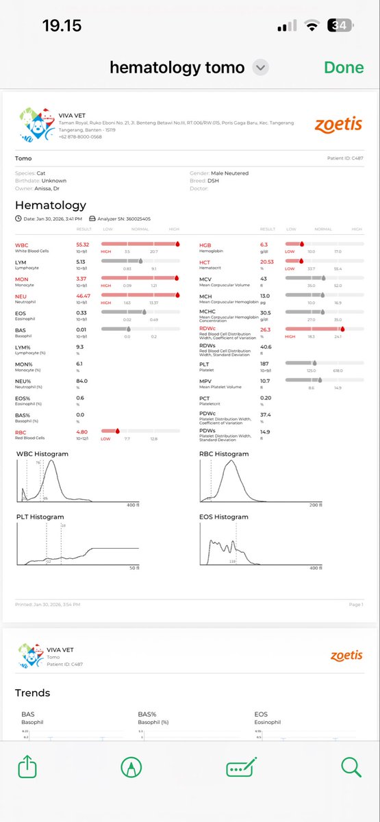Anissa Nadia F tweet media