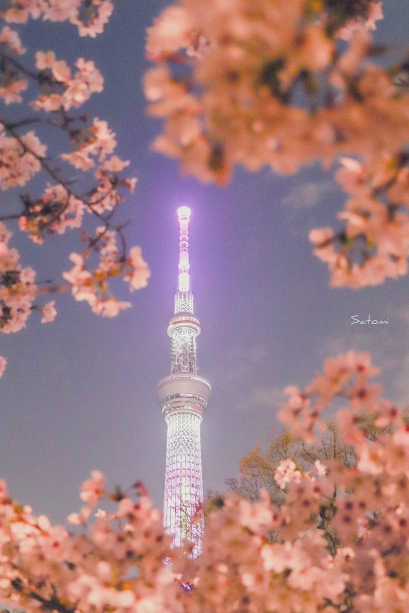 𝒮𝒶𝓉𝑜📷 tweet media