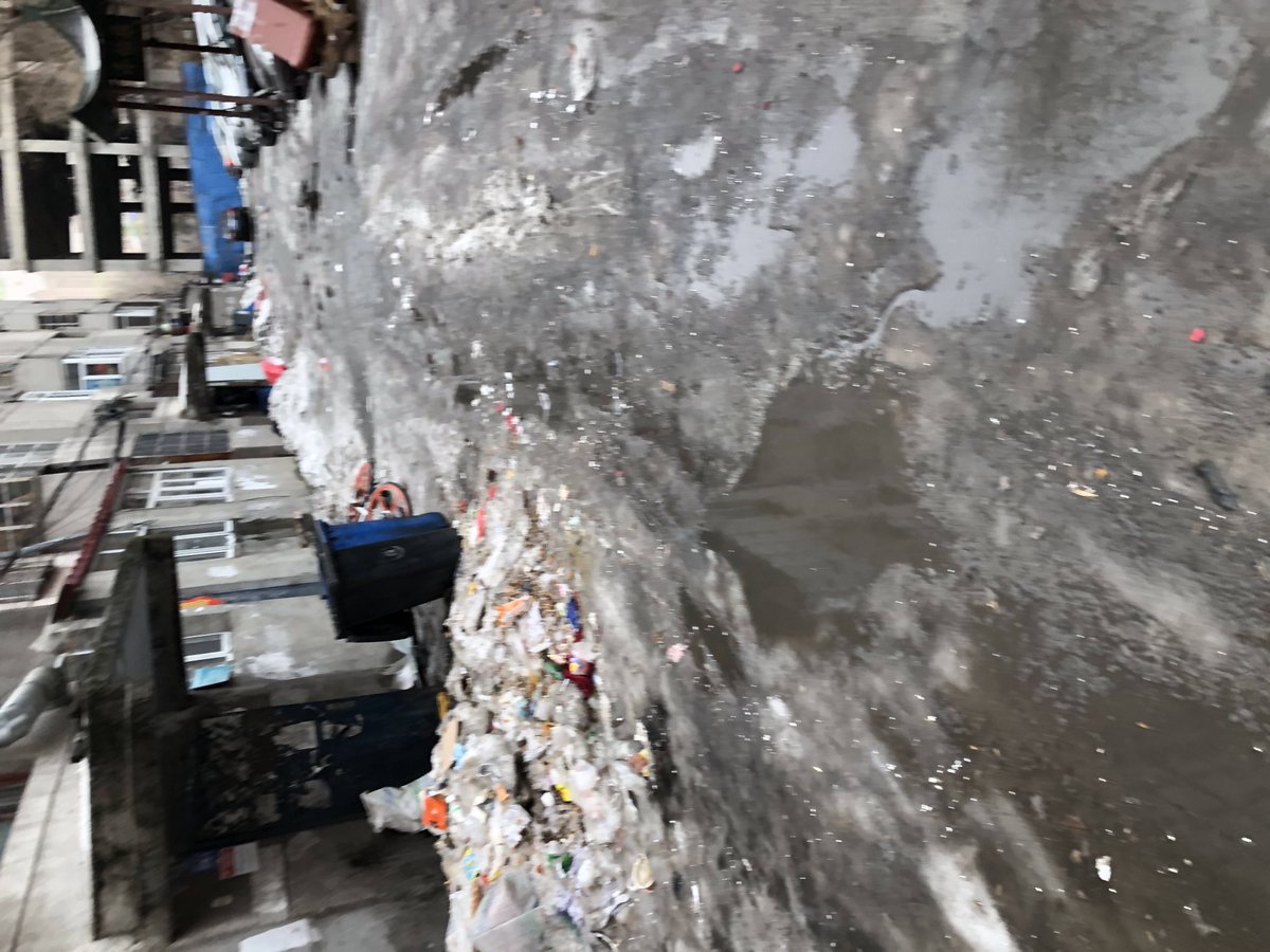 Splita Corleone tweet media