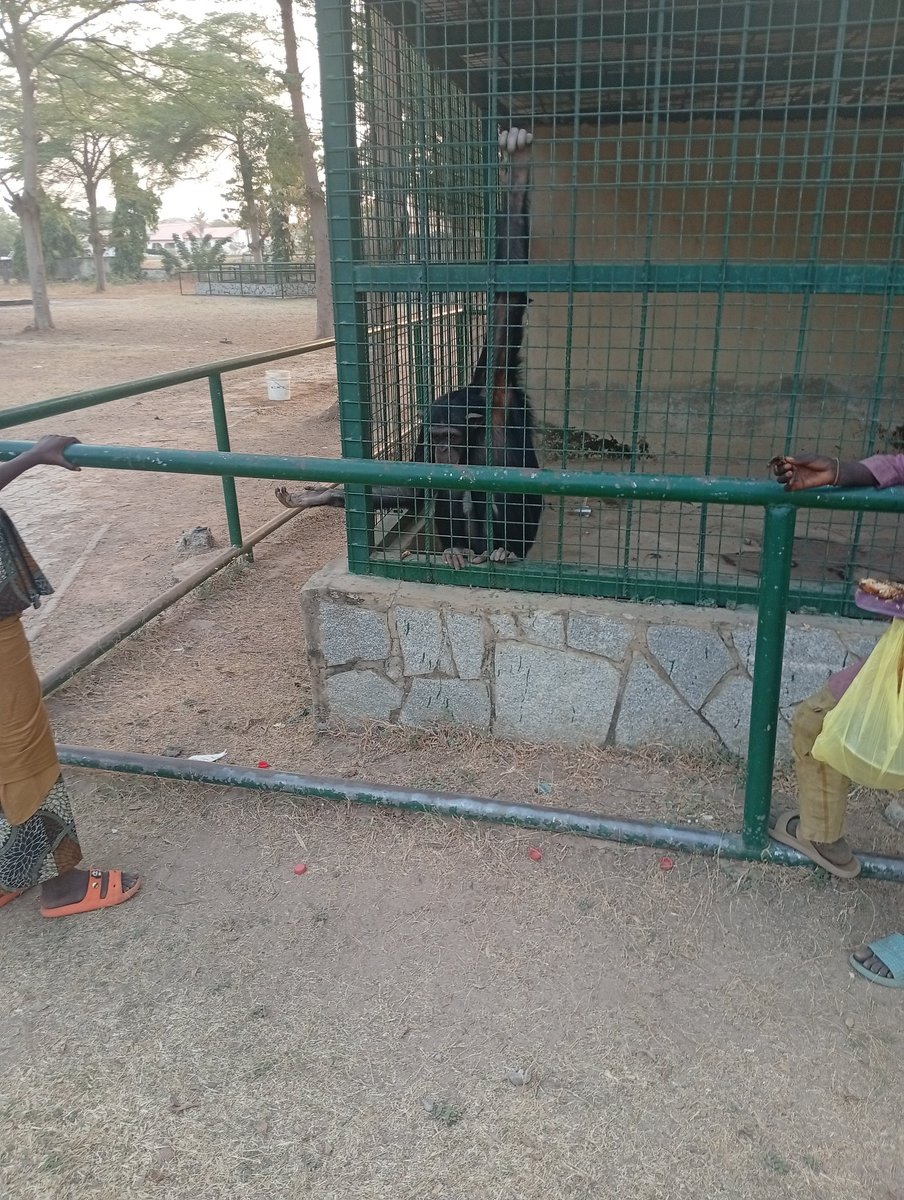 iXix🇨🇦 tweet media