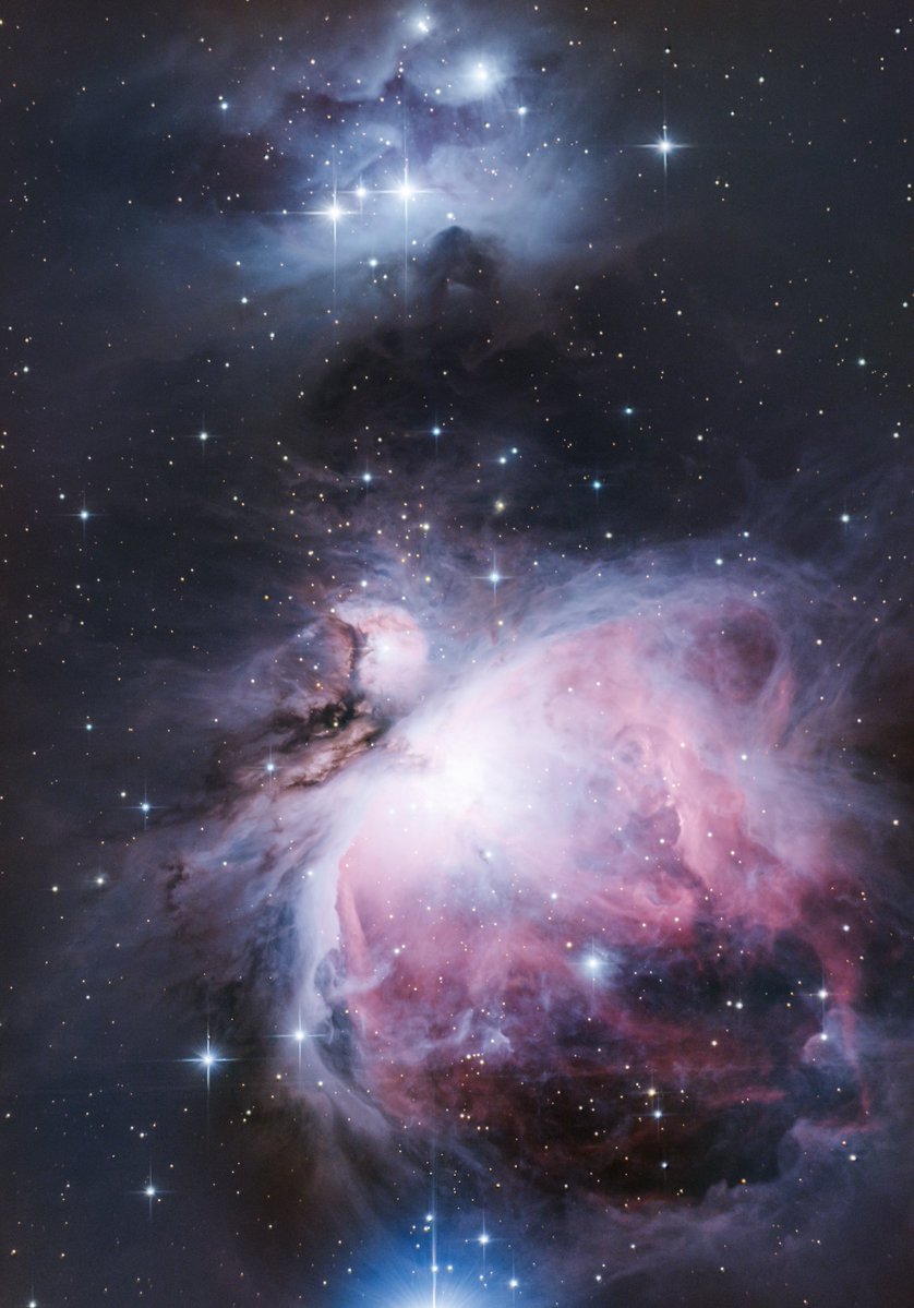 がんま tweet media