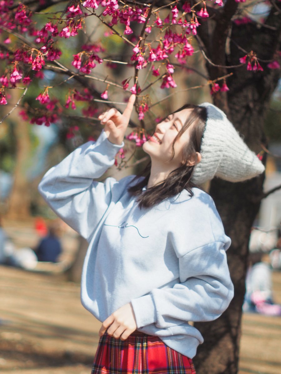 ダーク tweet media