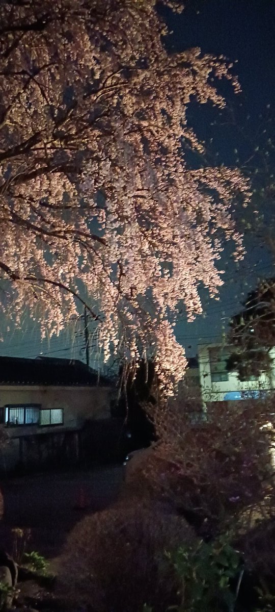 jn1jva's tweet photo. 街行く方々のためにライトアップしています。
タワーとお月さまを一緒に撮った写真はブレていたからボツ。 https://t.co/2255aPUd9W