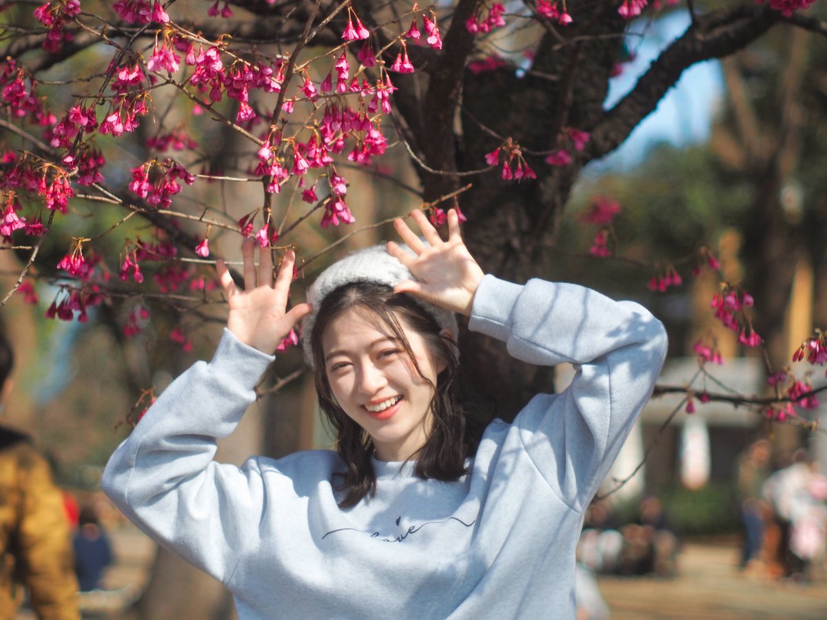 ダーク tweet media