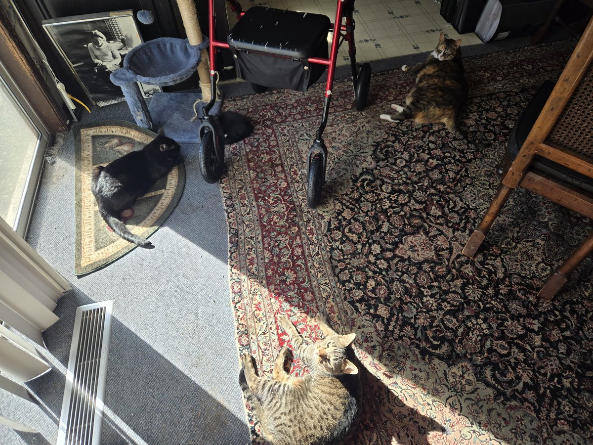 C4 💚💜❤️ tweet media