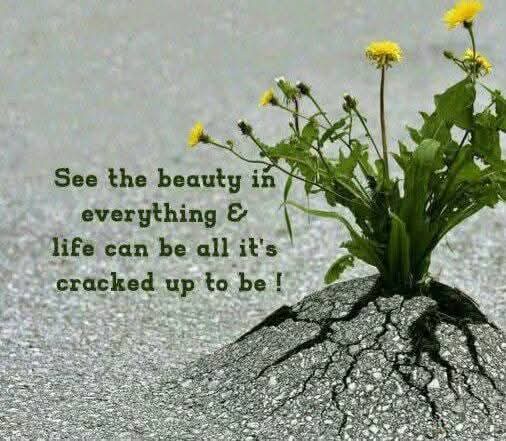 ABCforMH's tweet image. I hope you have a weekend full of wonder #beaware of you &amp;amp; your surroundings take time to look at the little details &amp;amp; life will surprise you✨💙;✨🪶🐾🌊🌈🔍🌻 #bekind #becurious #becreative #beuniquelyyou #believeinyou #letyoursparkleshine  #SeseofBelonging @limerickslife