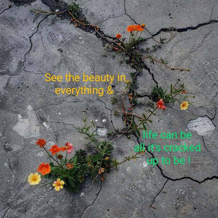 ABCforMH's tweet image. I hope you have a weekend full of wonder #beaware of you &amp;amp; your surroundings take time to look at the little details &amp;amp; life will surprise you✨💙;✨🪶🐾🌊🌈🔍🌻 #bekind #becurious #becreative #beuniquelyyou #believeinyou #letyoursparkleshine  #SeseofBelonging @limerickslife