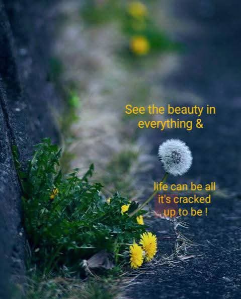 ABCforMH's tweet image. I hope you have a weekend full of wonder #beaware of you &amp;amp; your surroundings take time to look at the little details &amp;amp; life will surprise you✨💙;✨🪶🐾🌊🌈🔍🌻 #bekind #becurious #becreative #beuniquelyyou #believeinyou #letyoursparkleshine  #SeseofBelonging @limerickslife