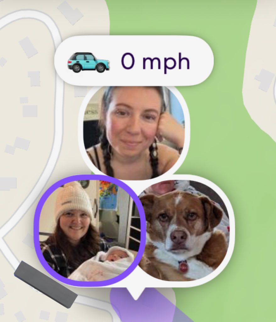 rachael anne ❤️🔥💛🌈🐍🐝✨ tweet media