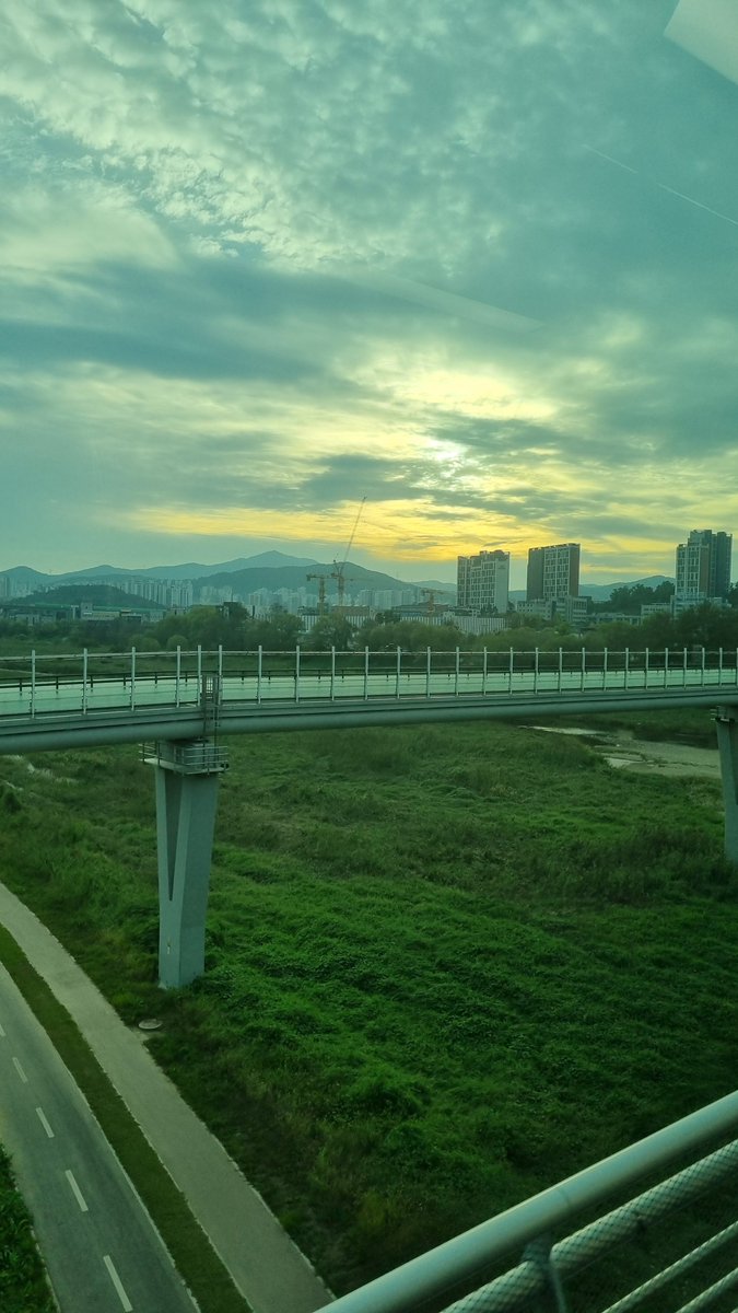 casa_delgatto tweet media