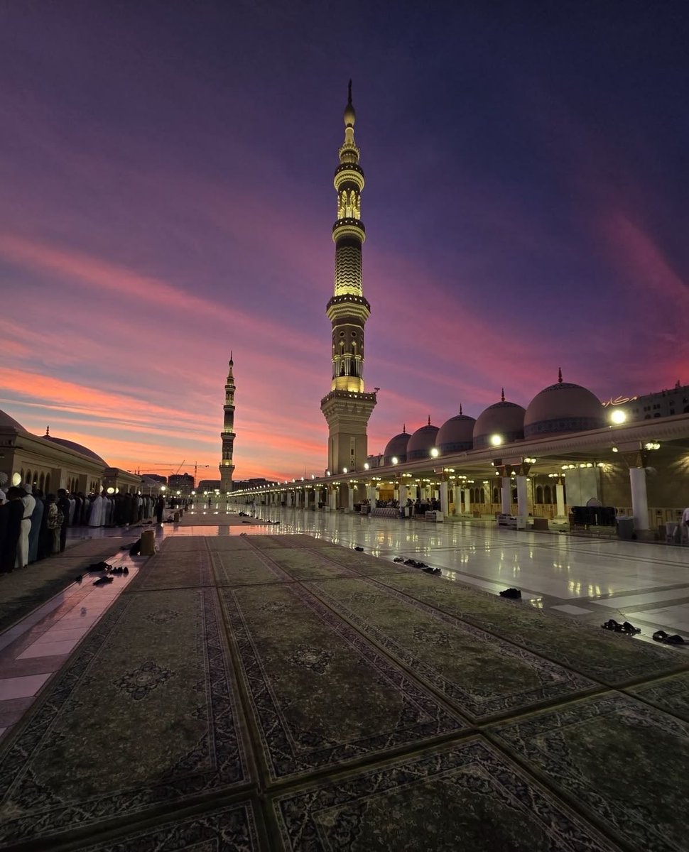 Aqsa Chaudhry🌙🇵🇸🇵🇰 tweet media