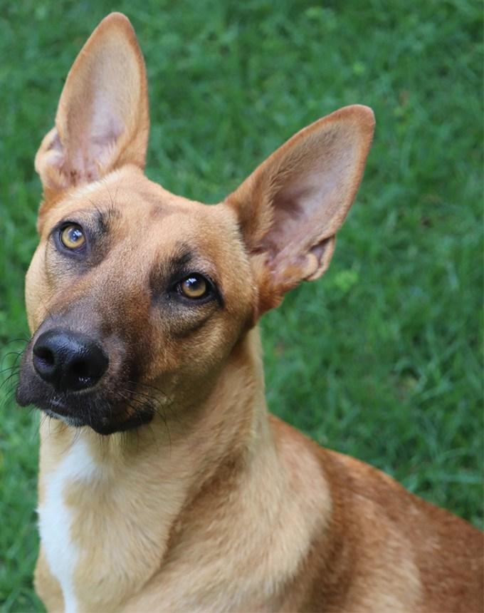 Raymond Dart(Mr Dart) tweet media