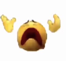 Joo 🌟 tweet media