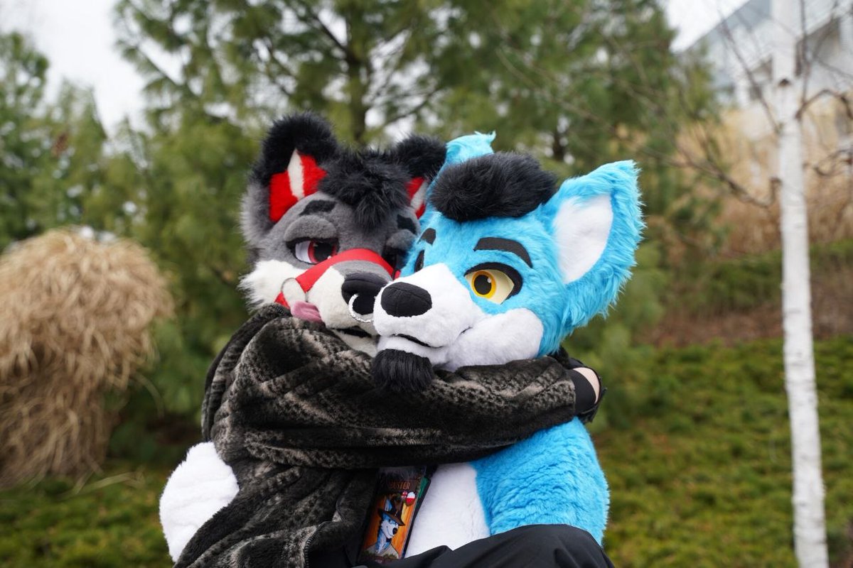 BusterTheWolf's tweet photo. #Gdakon #Furry #Fursuit #Fursuiter
Some photos from Gdakon 2026 with @sewo10018   @Cortex_WD  :3 https://t.co/jOFRZmYeYP