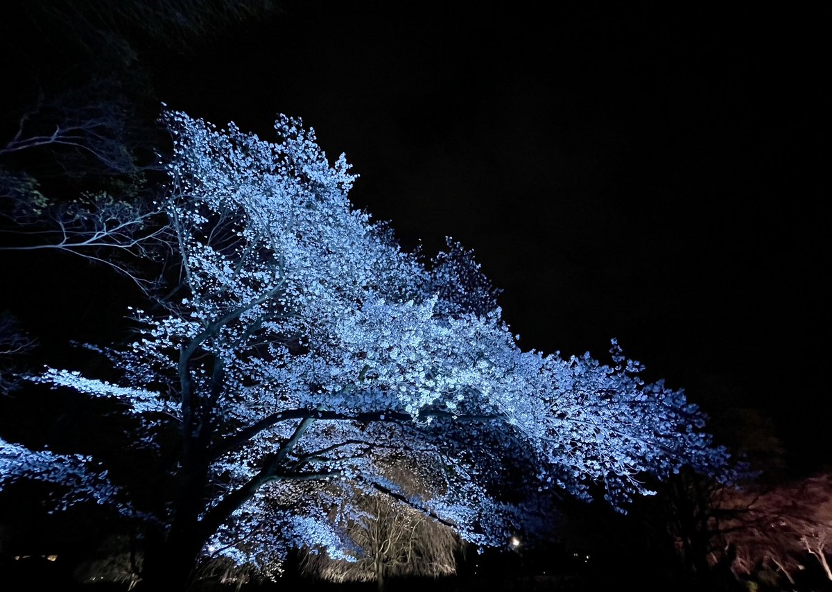 宮﨑大介 tweet media