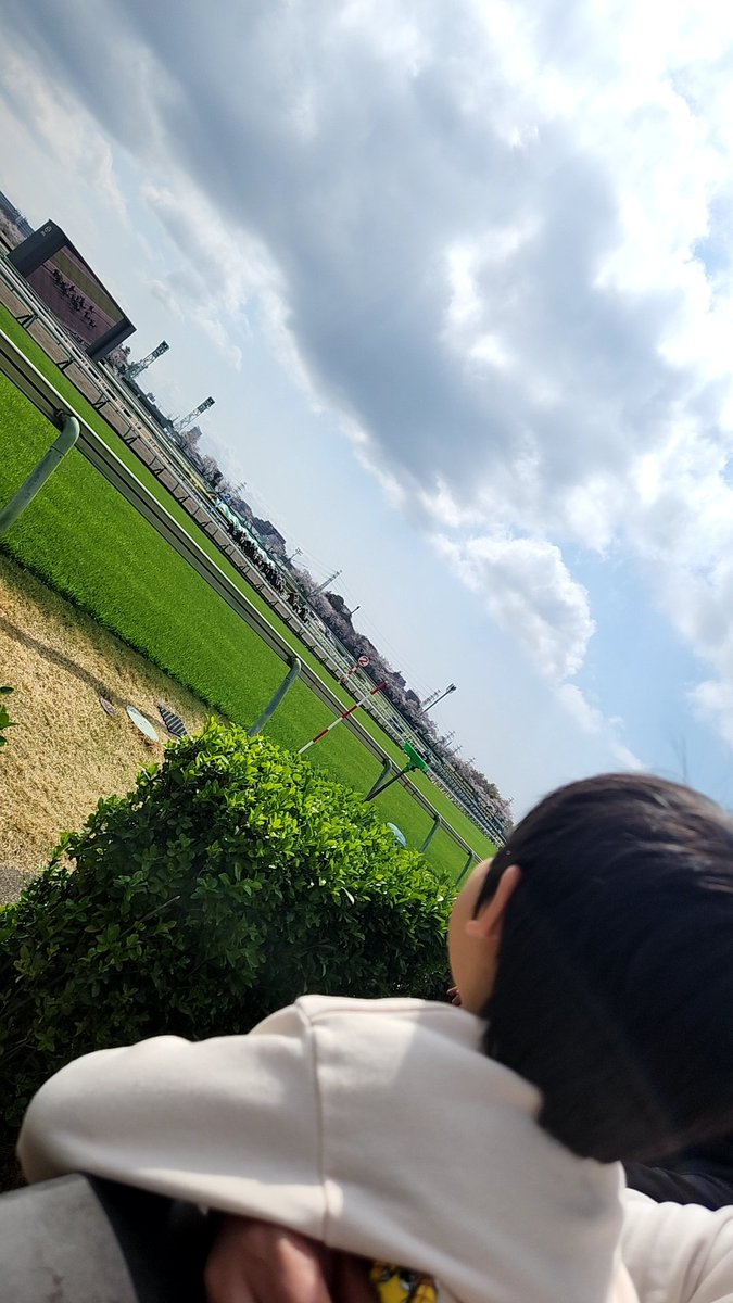 ゆっこ…☆★ tweet media