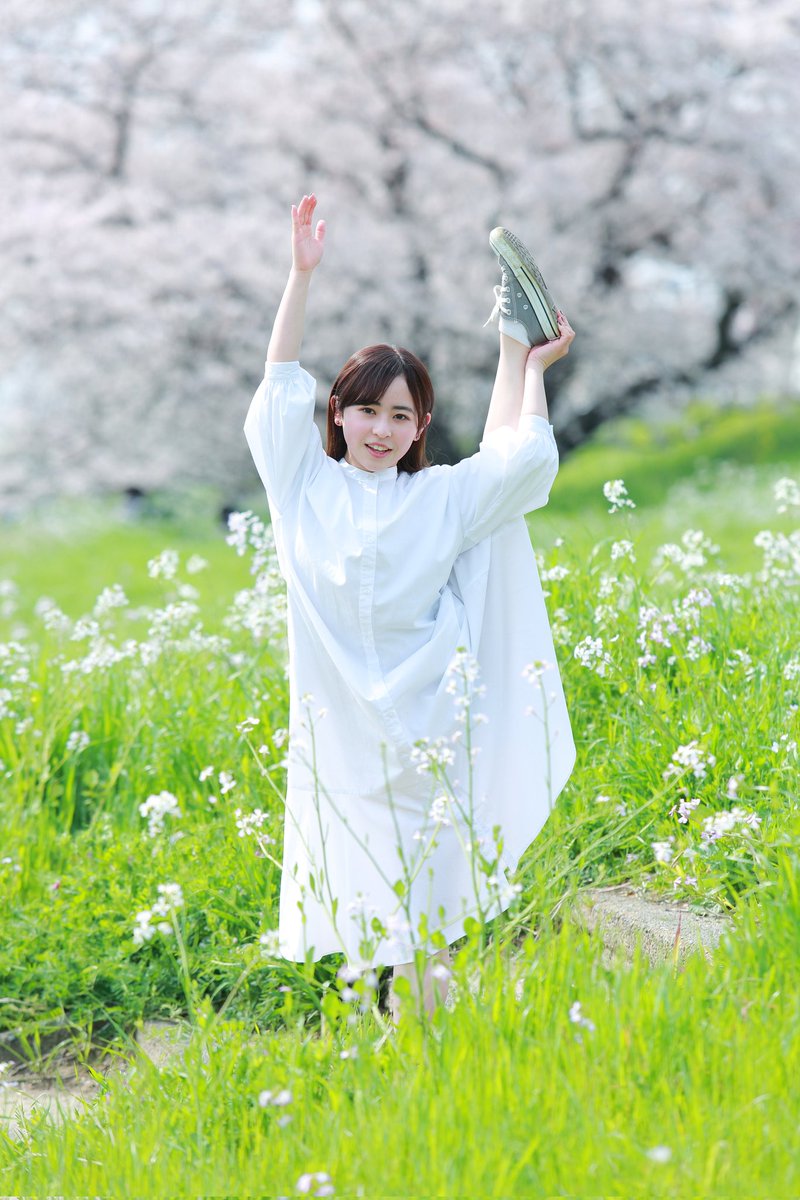 kurowasan11's tweet photo. 2022年桜
モデル　まなさん https://t.co/QMpbhOo8Cw